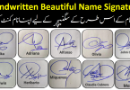 Handwritten Signatures Style For Your Name